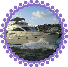 vip1