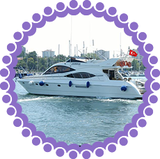 vip11