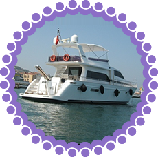 vip12