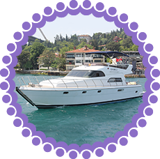 vip6