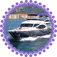 vip7