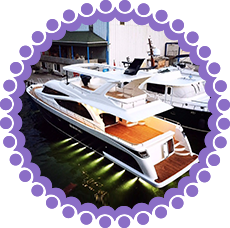 vip8